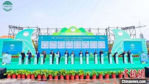 帶富一方漂洋過(guò)海 一蔸芥菜的 奇幻漂流